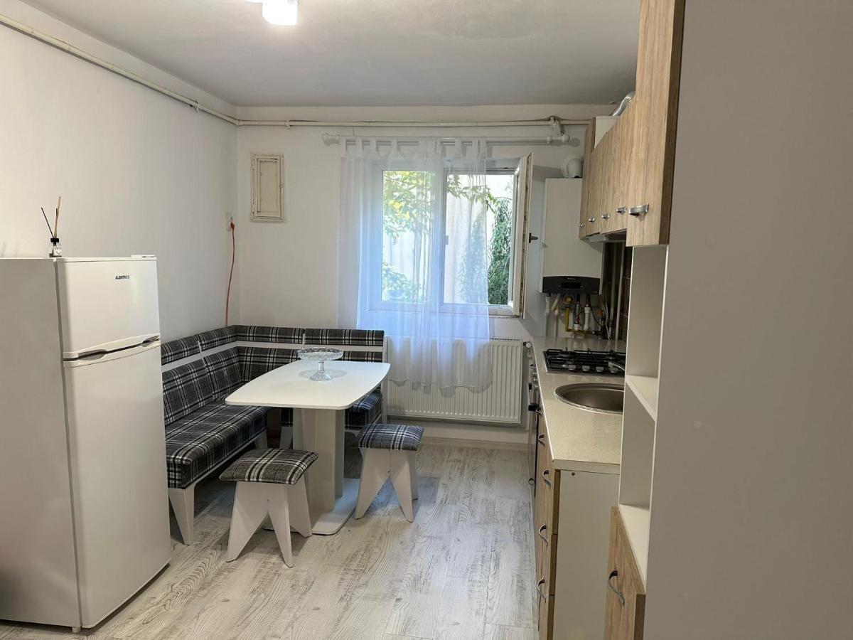 Apartament Rovine 크라이오바 외부 사진