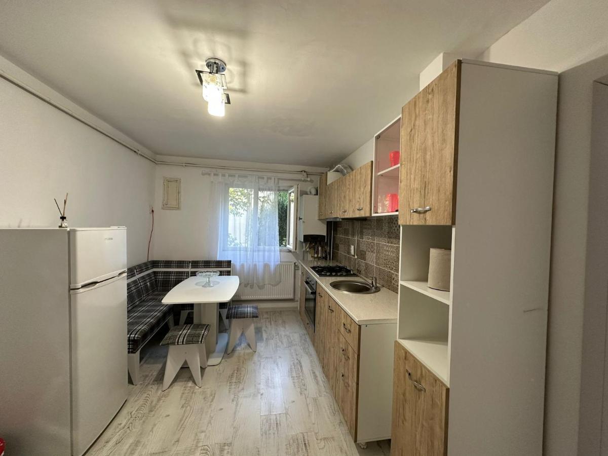 Apartament Rovine 크라이오바 외부 사진