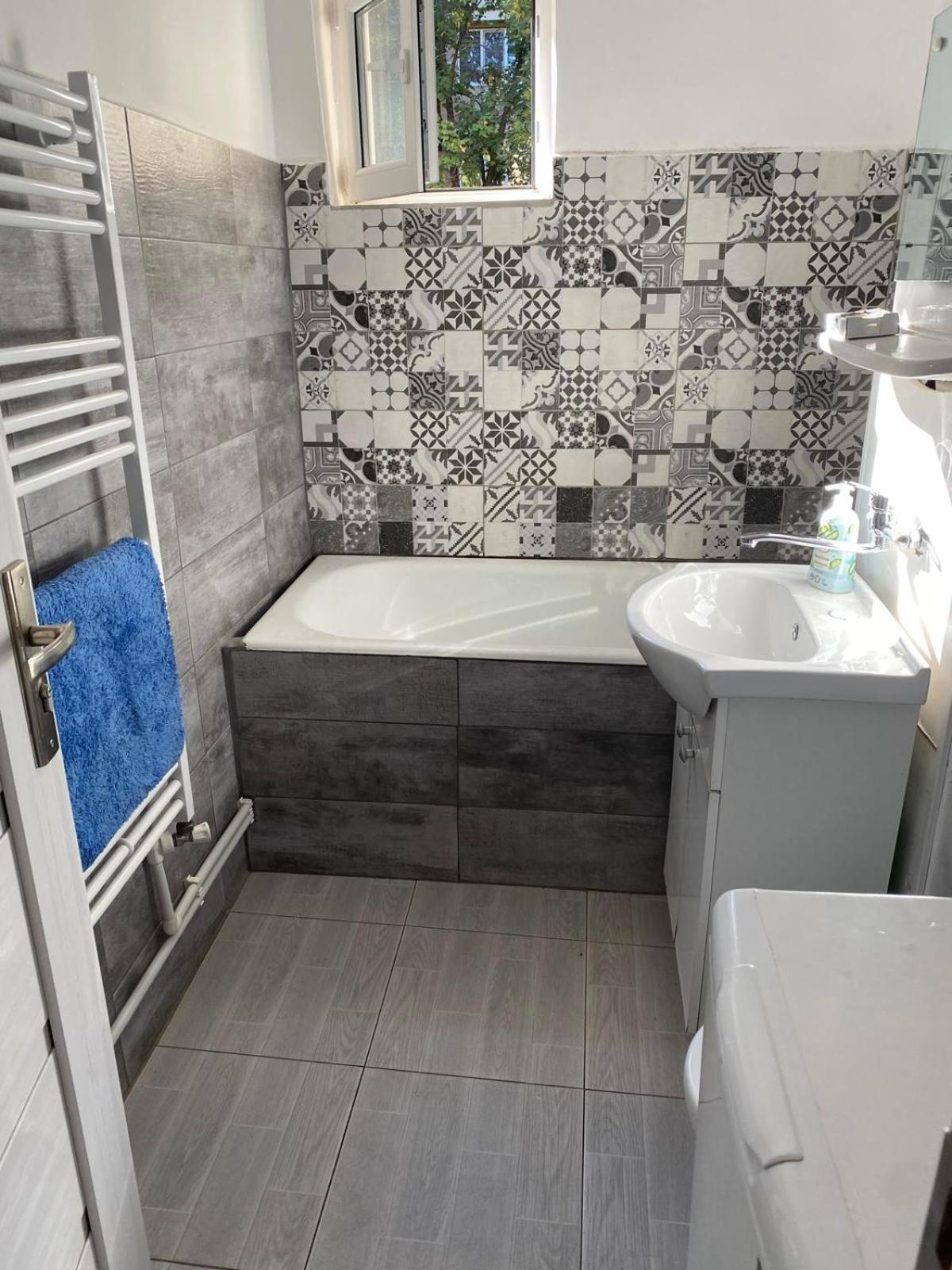 Apartament Rovine 크라이오바 외부 사진